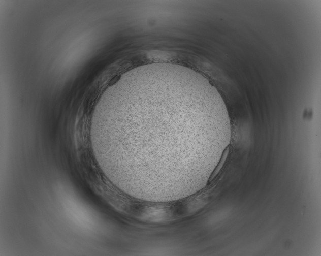 X0000088900431200707061458