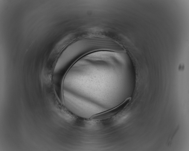 X0000088900432200707061458