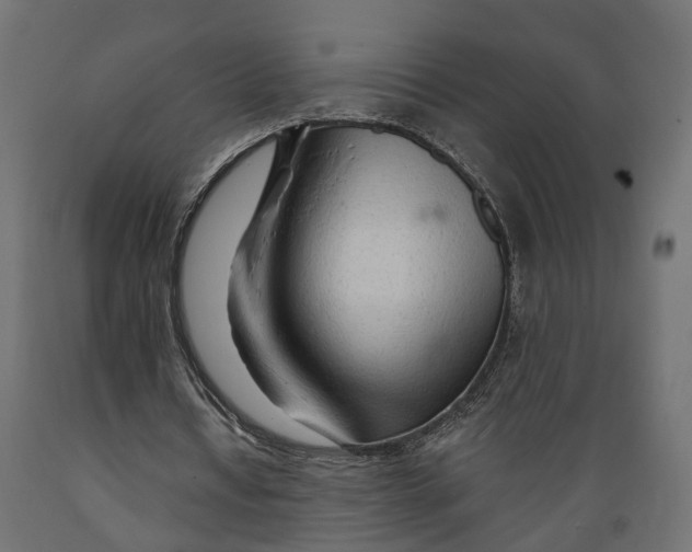 X0000088900434200707061458