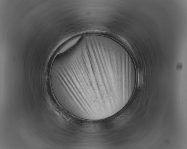 X0000088900435200707061458