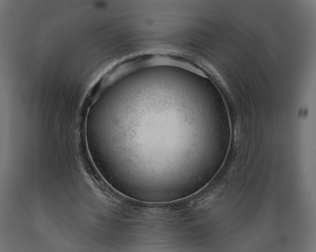 X0000088900436200707061458