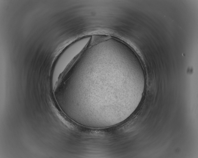 X0000088900437200707061458