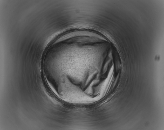 X0000088900438200707061458