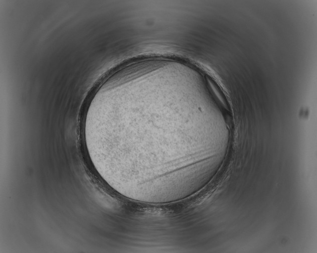 X0000088900439200707061458