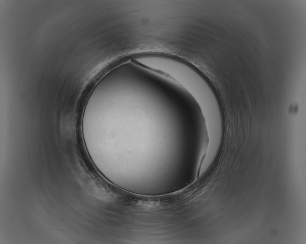 X0000088900440200707061458