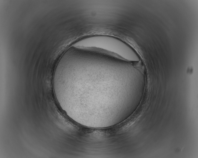 X0000088900441200707061458