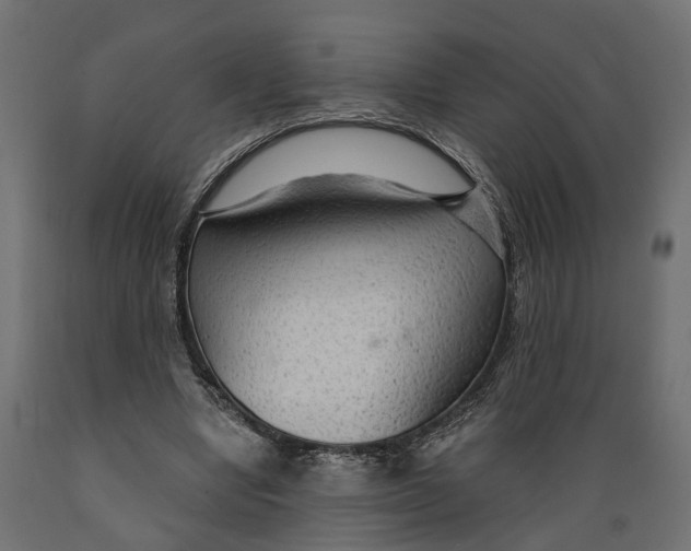 X0000088900442200707061458