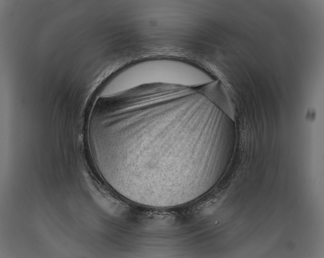 X0000088900443200707061458