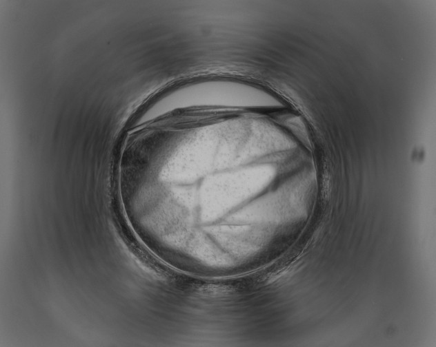 X0000088900444200707061458