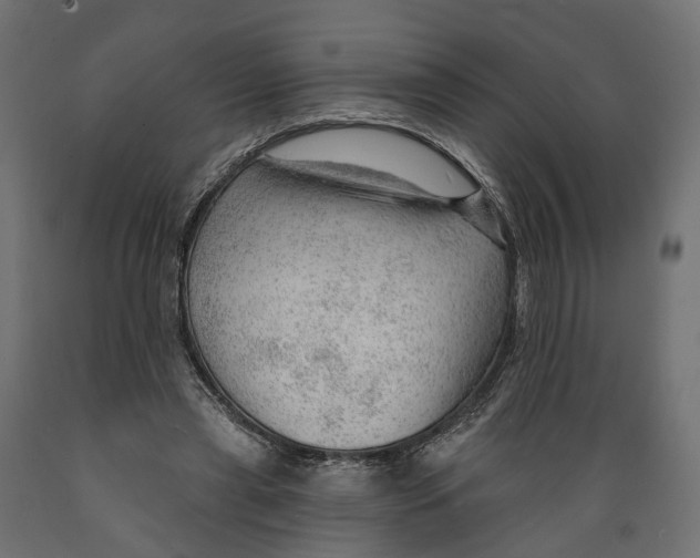 X0000088900445200707061458