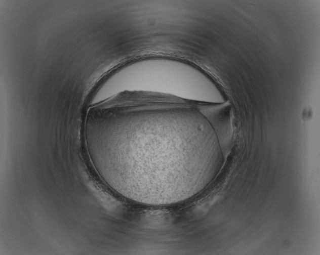 X0000088900446200707061458