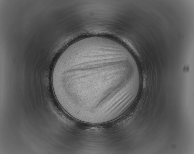 X0000088900447200707061458