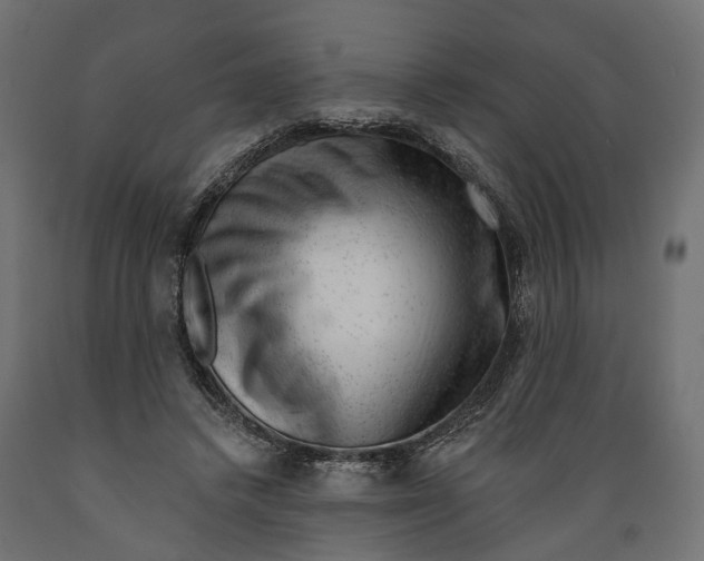 X0000088900448200707061458