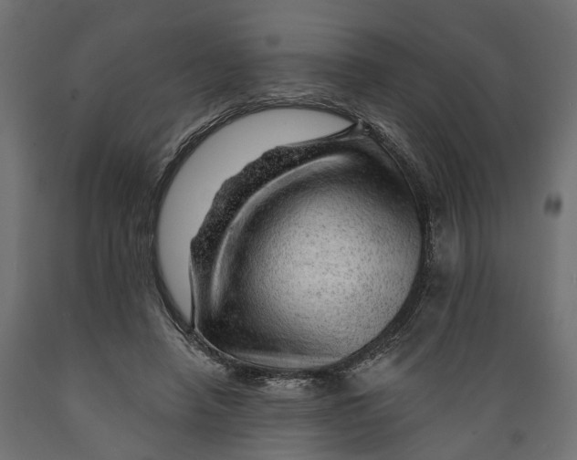 X0000088900450200707061458