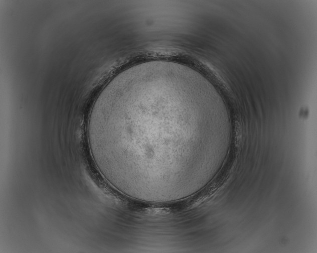 X0000088900451200707061458