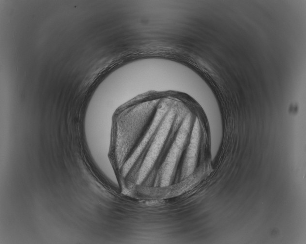 X0000088900452200707061458