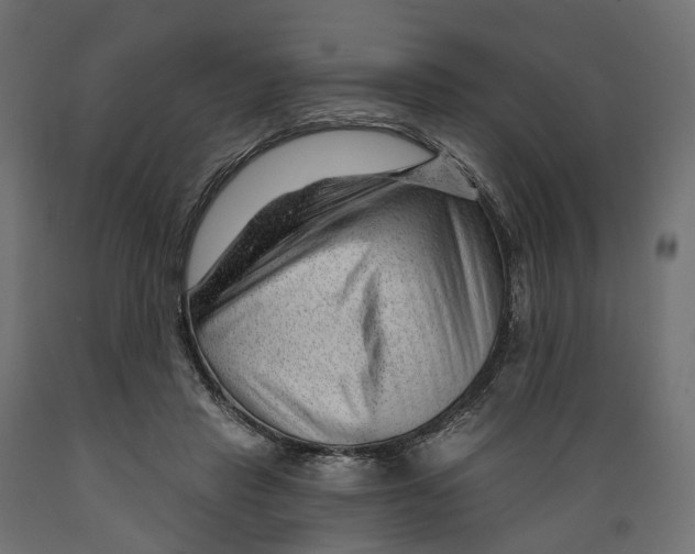 X0000088900453200707061458