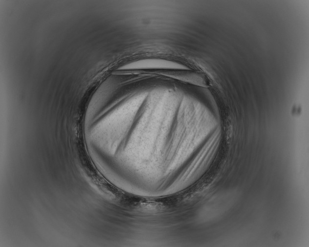 X0000088900455200707061458