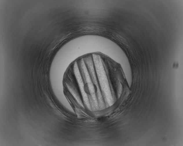 X0000088900456200707061458