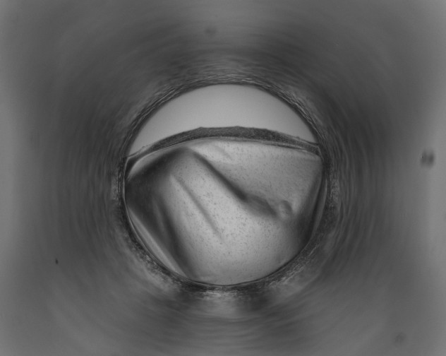 X0000088900457200707061458