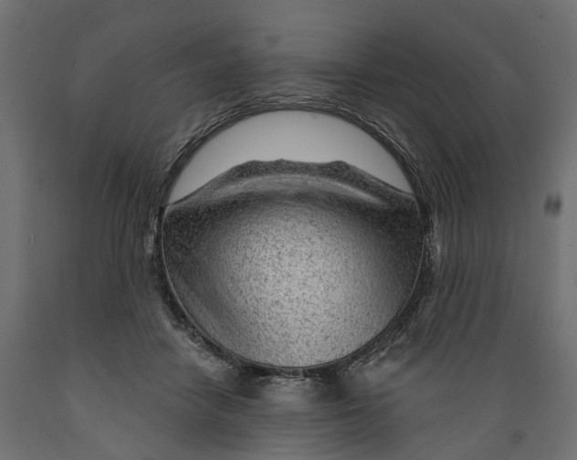 X0000088900458200707061458