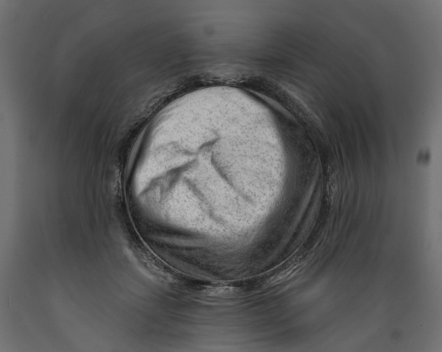 X0000088900459200707061458