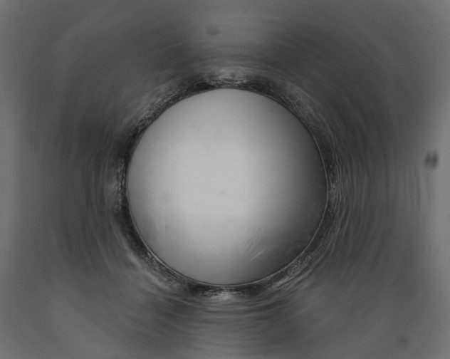 X0000088900460200707061458