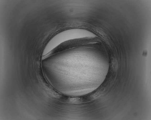 X0000088900461200707061458