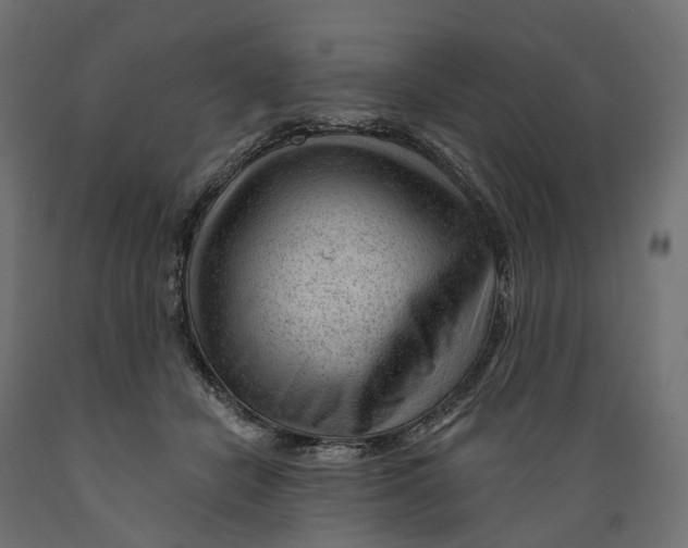 X0000088900462200707061458