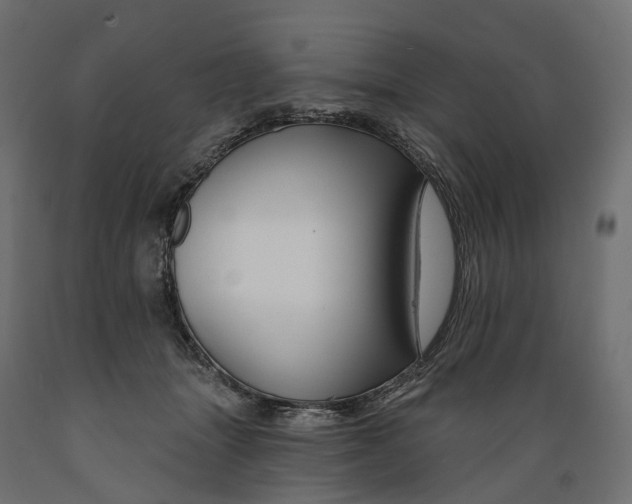 X0000088900463200707061458