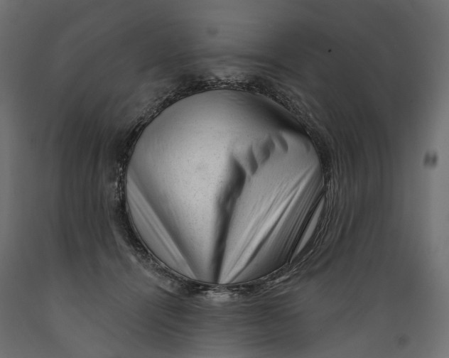 X0000088900464200707061458