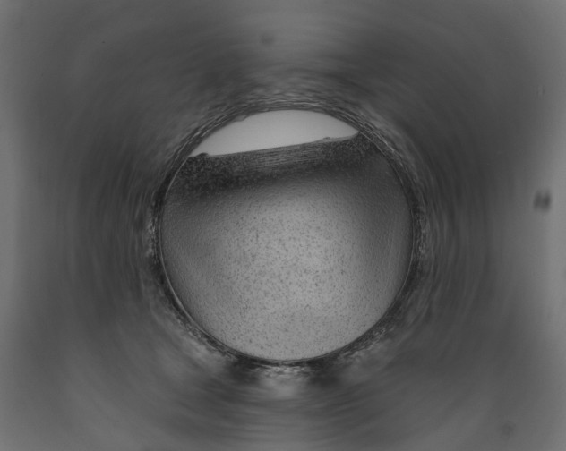 X0000088900465200707061458