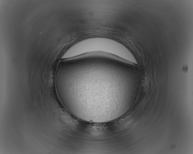 X0000088900466200707061458