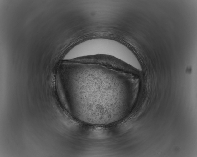 X0000088900467200707061458