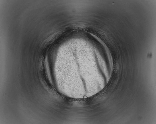 X0000088900468200707061458