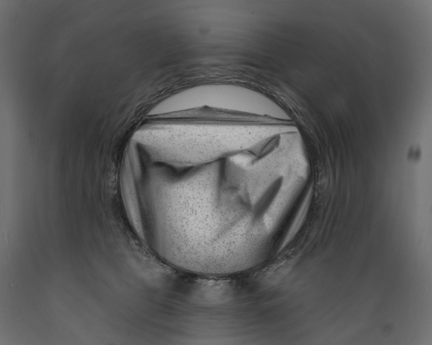 X0000088900469200707061458