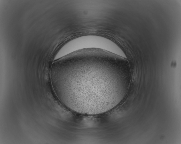 X0000088900470200707061458