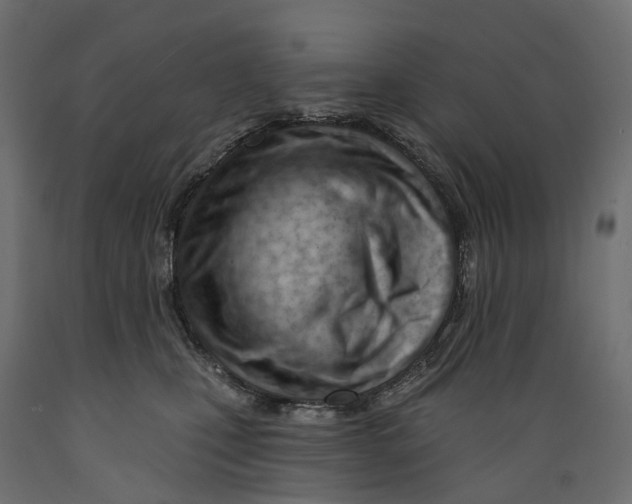 X0000088900471200707061458