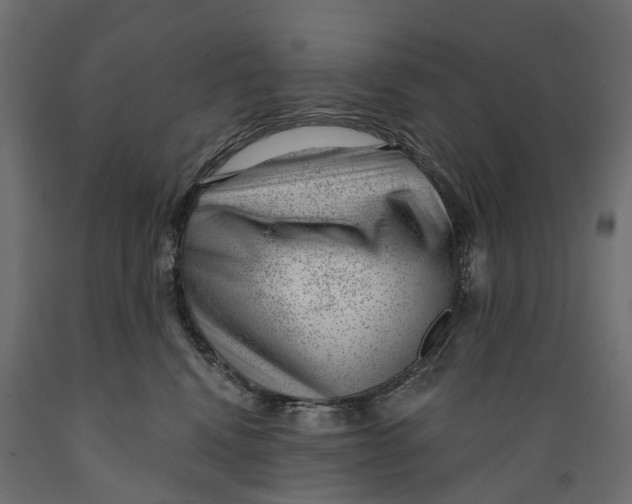 X0000088900472200707061458