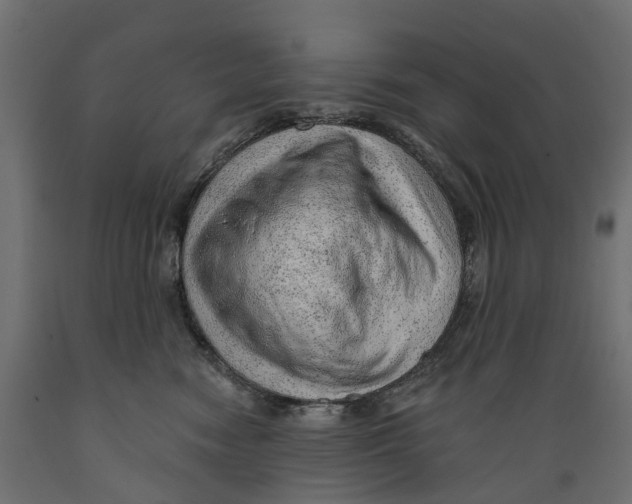 X0000088900474200707061458