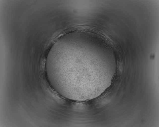 X0000088900475200707061458