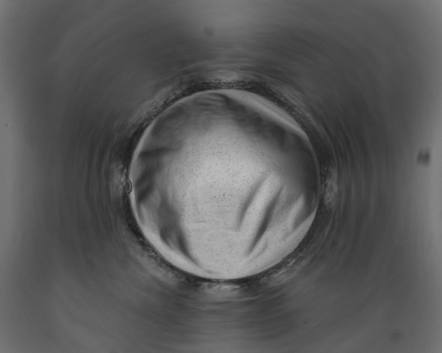 X0000088900476200707061458