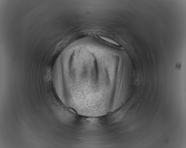 X0000088900478200707061458