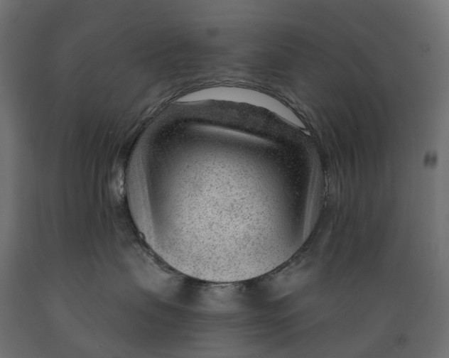 X0000088900479200707061458