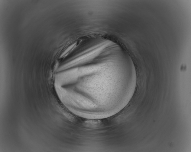 X0000088900480200707061458