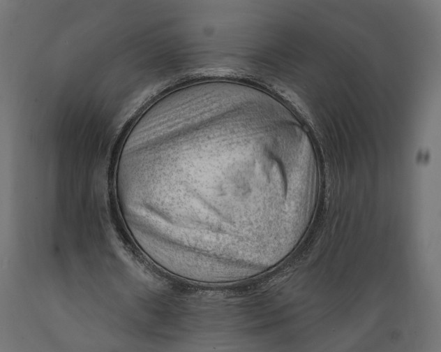 X0000088900482200707061458