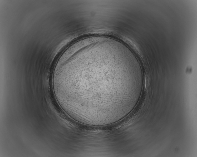 X0000088900483200707061458