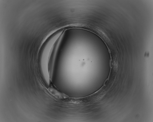 X0000088900484200707061458