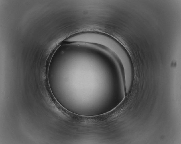 X0000088900485200707061458