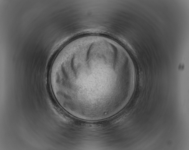 X0000088900486200707061458